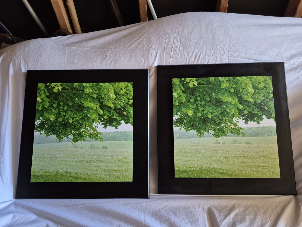 Great Pair of Paintings