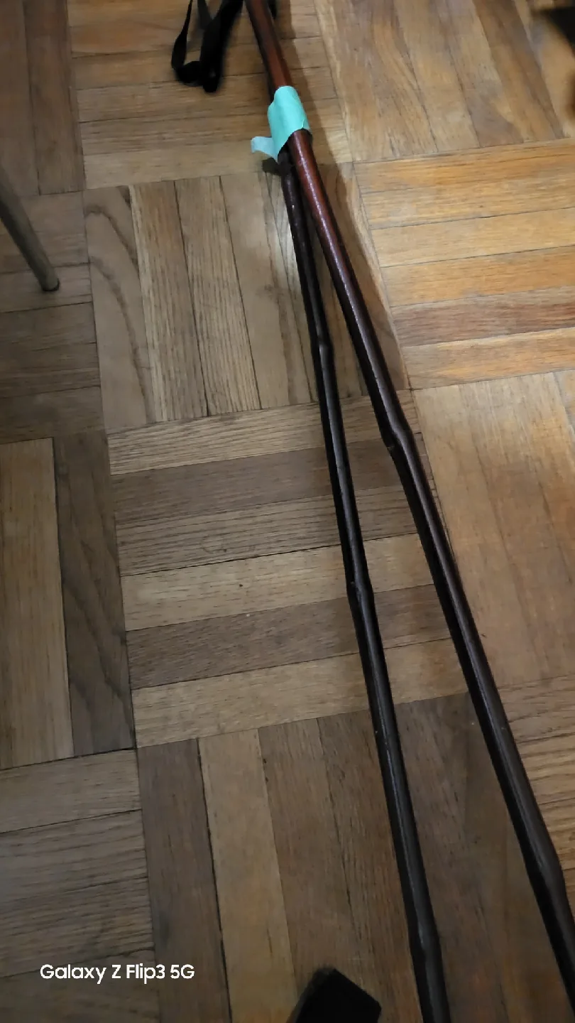 🥕Used Ski Poles image indicator(2)