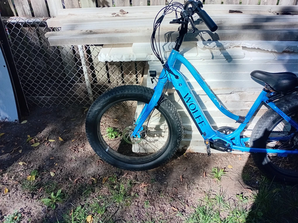 Wolfe Electric Bike - Blue