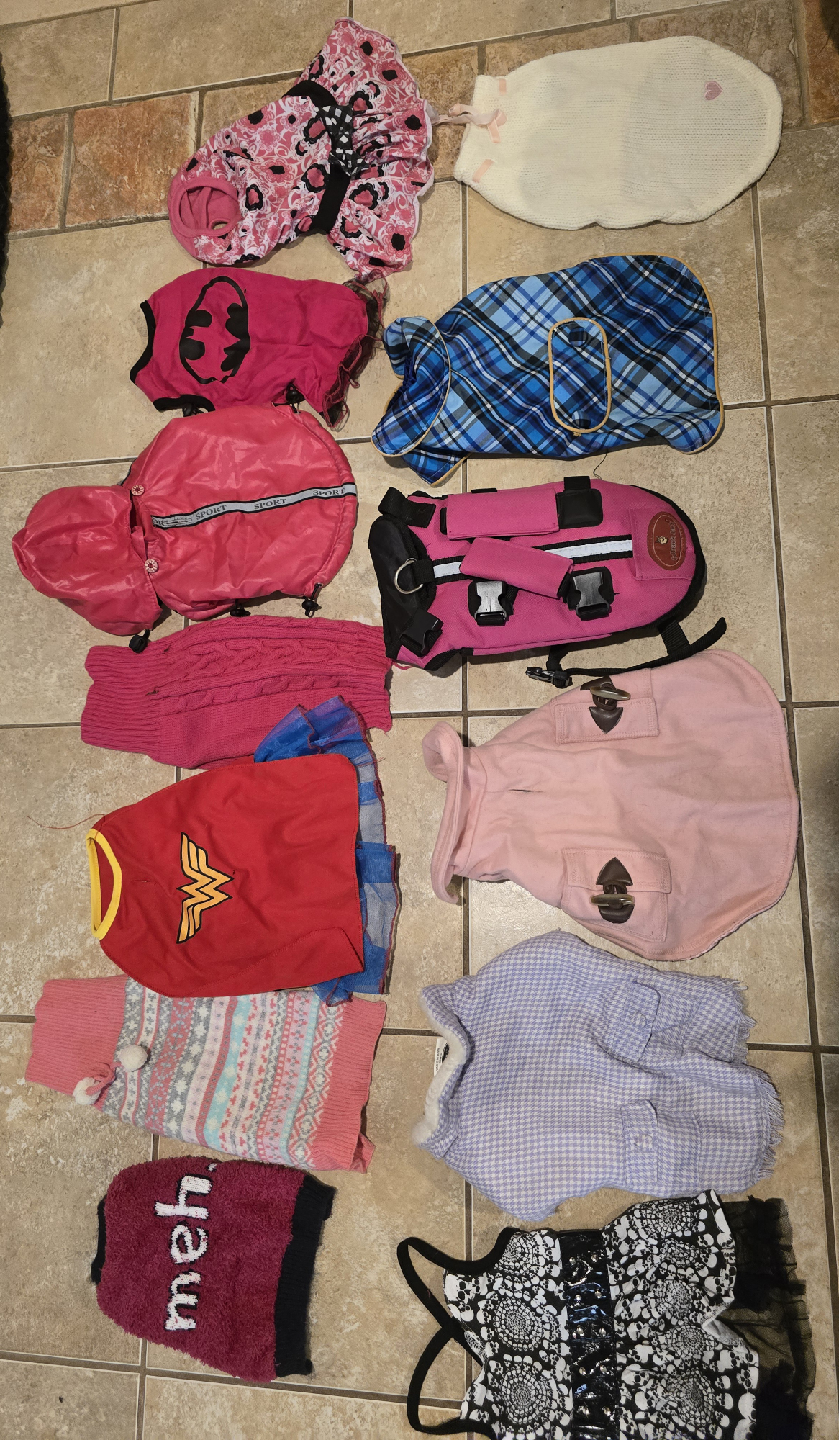 Dog Clothes Lot - Various Styles & Sizes