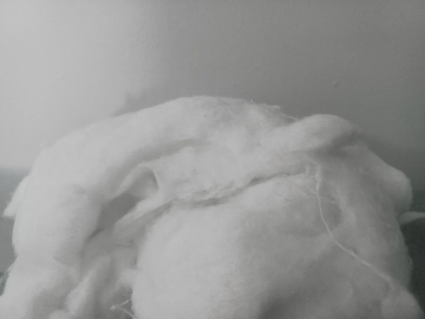 Big amount of cotton thumbnail