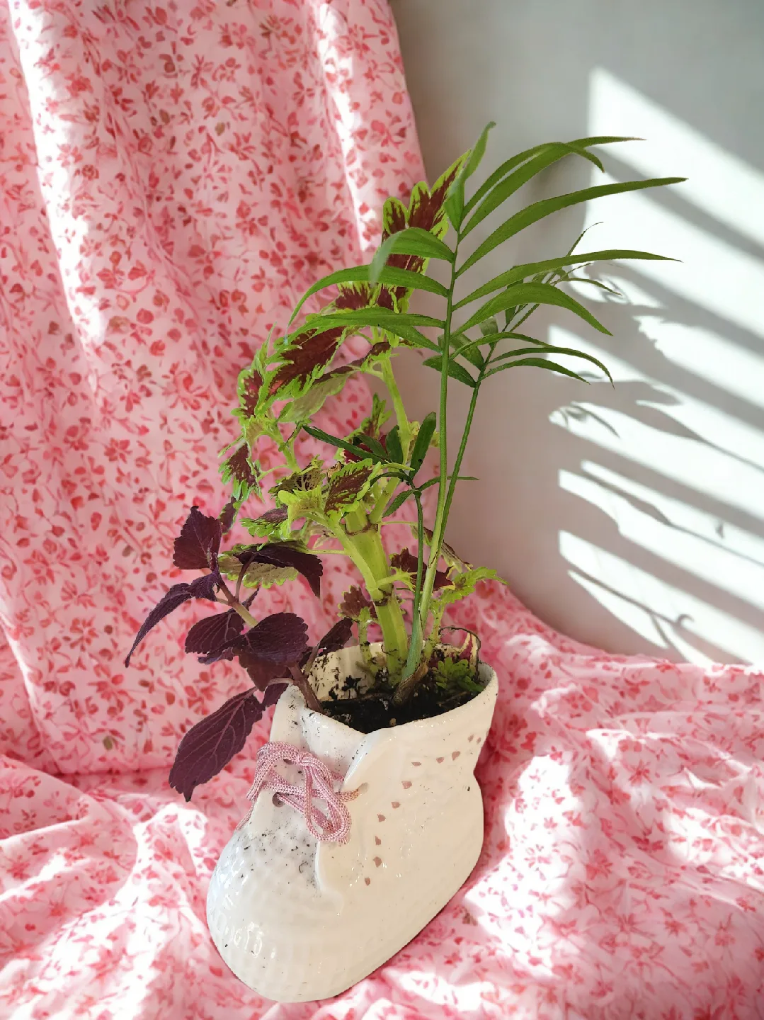 Cute White Ceramic  baby bootie Planter with Plants thumbnail