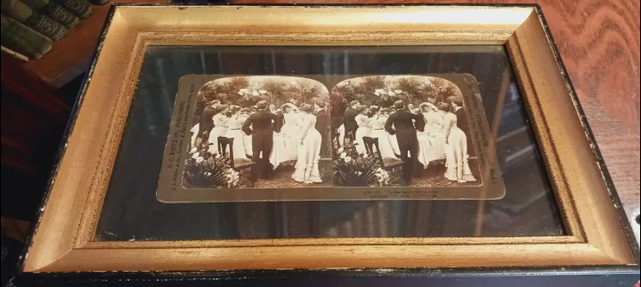 Antique Framed "The Perfect Stereograph" 1903. photo thumbnail