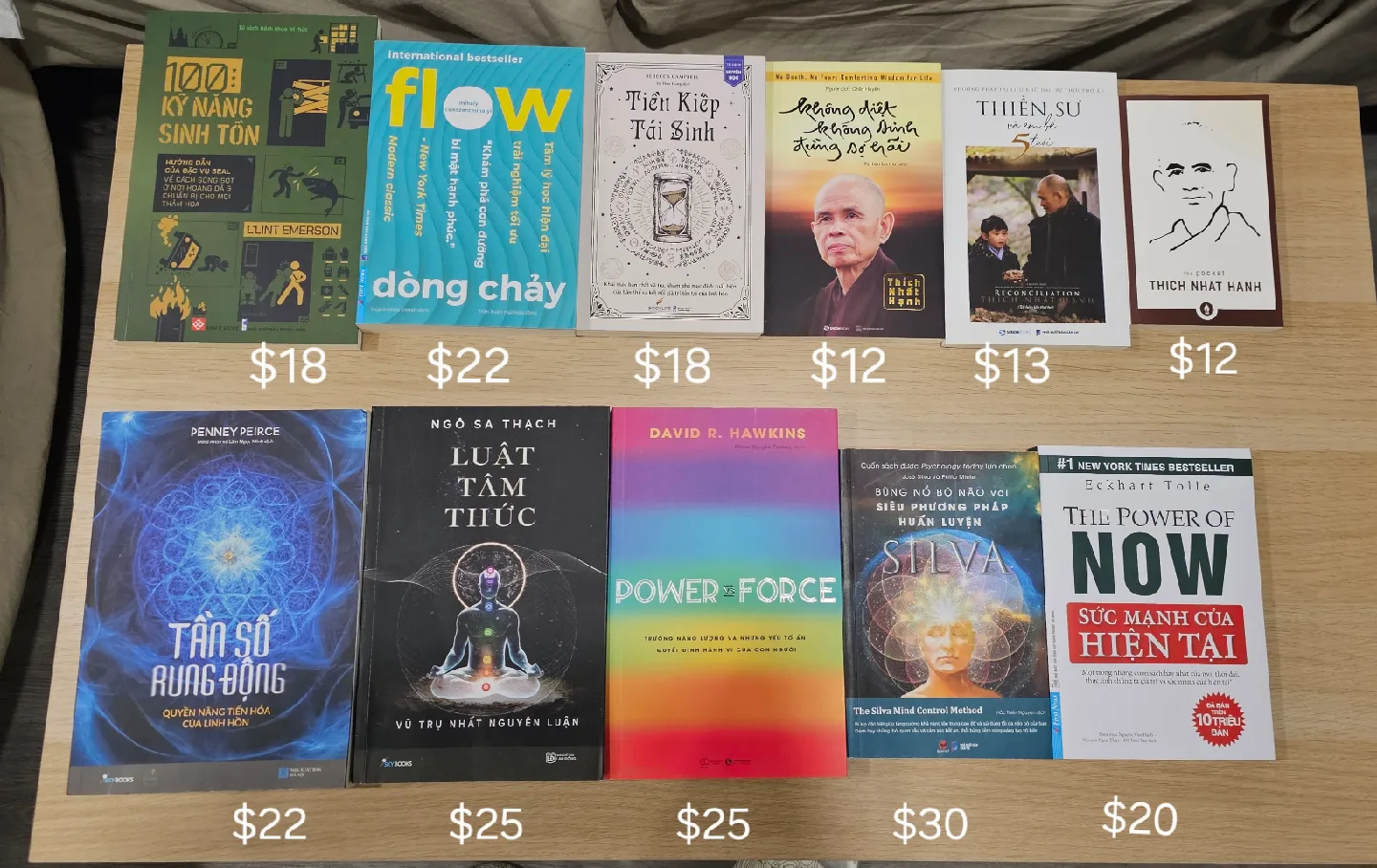 Vietnamese Books image indicator(2)