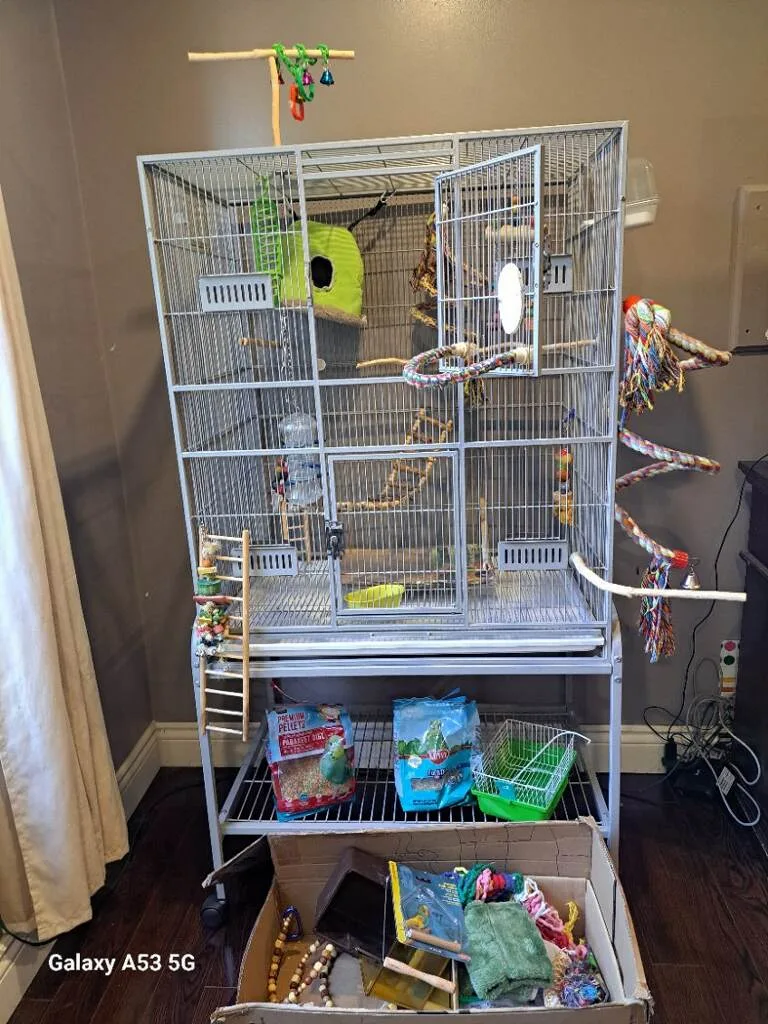 Bird Cage stand and Accessories image indicator(5)