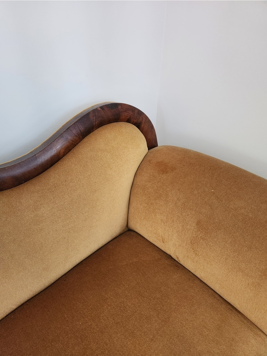 Victorian Carved Wood Sofa with Velvet Upholstery - photo 3