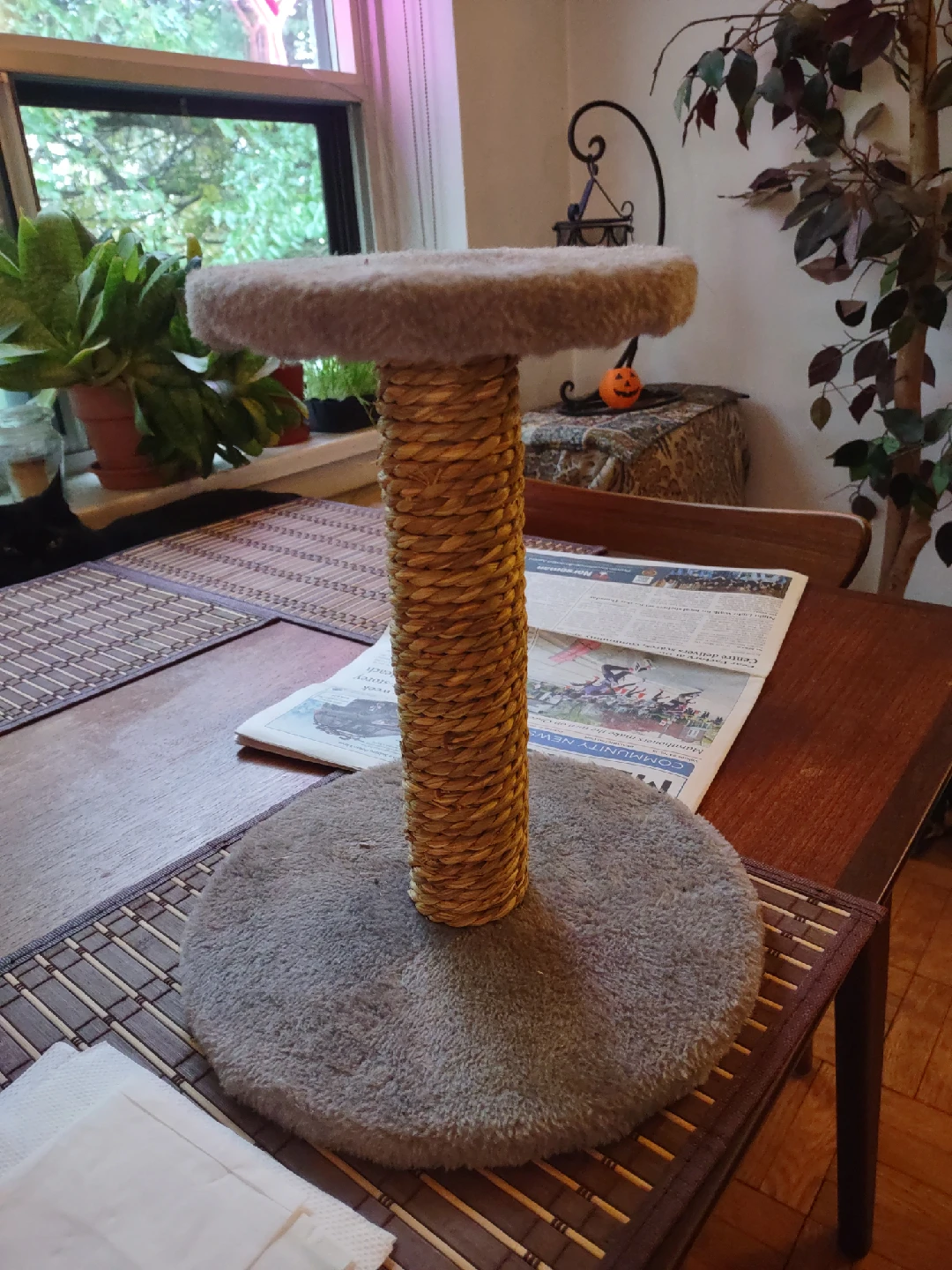 Cat Scratching Post & Cat Bed - photo 2