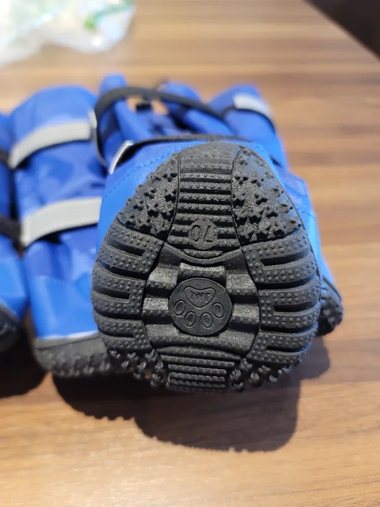 🥕 Blue Dog Boots image indicator(5)