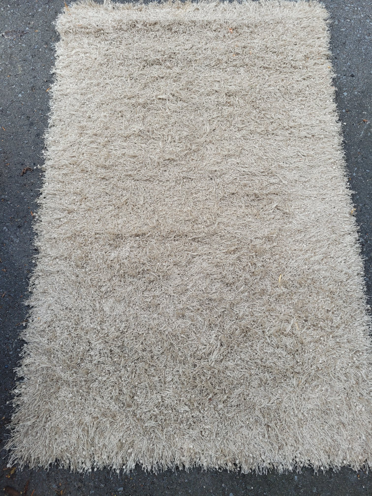 Shaggy Area Rug - Beige