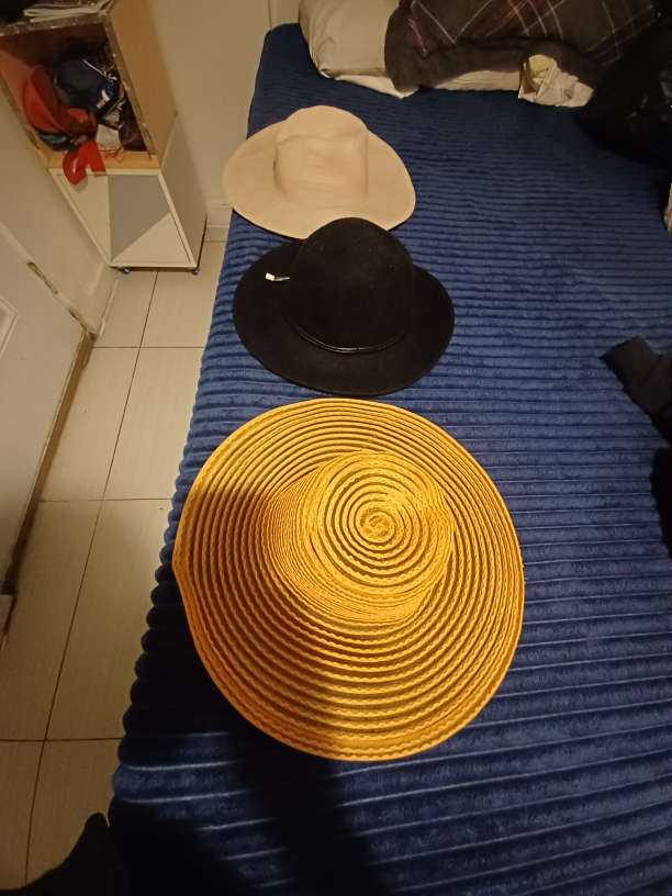 Assorted Women's Hats - photo 5