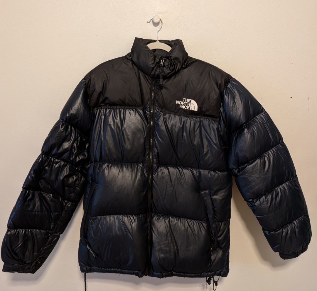 North Face Winter Puffer Jacket (Goose Down 900 Fill)
