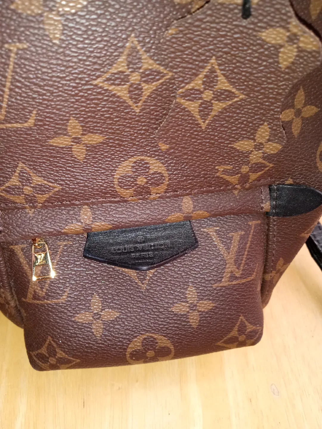 Louis Vuitton Palm Springs Mini Backpack