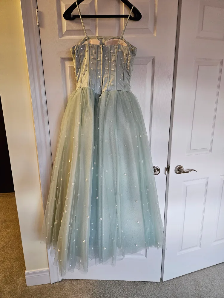 Light Green Tulle Dress image indicator(3)