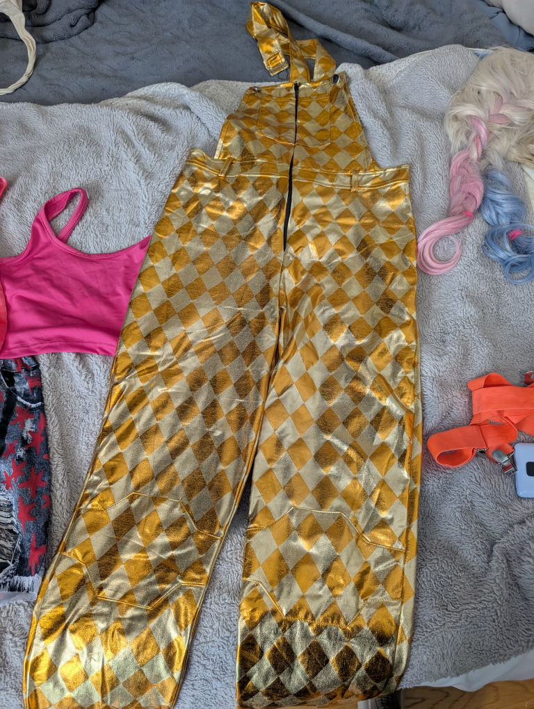 Harley Quinn 2 Costumes,Wig,Accessories for the price of 1
