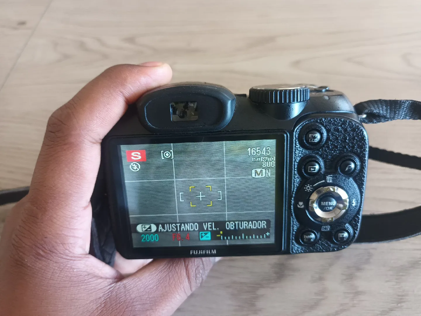 Fujifilm FinePix S2950 Camera image indicator(2)