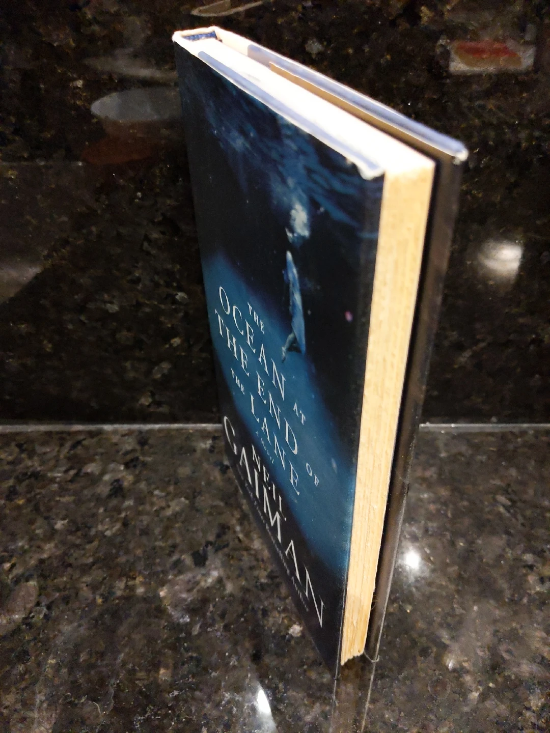 The Ocean at the End of the Lane by Neil Gaiman - photo 3