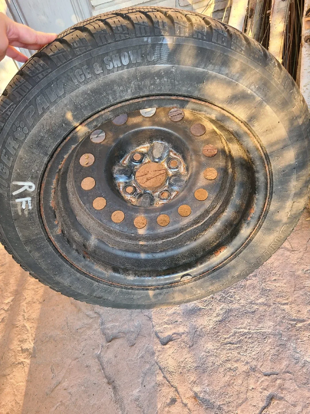 Uniroyal Tiger Paw Winter Tires