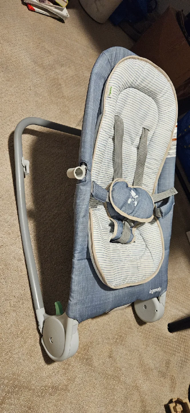Ingenuity Baby Bouncer image indicator(2)