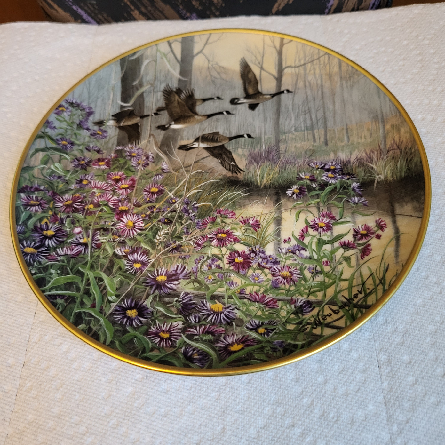 Kaiser W. Germany "Wild Asters" Plate
