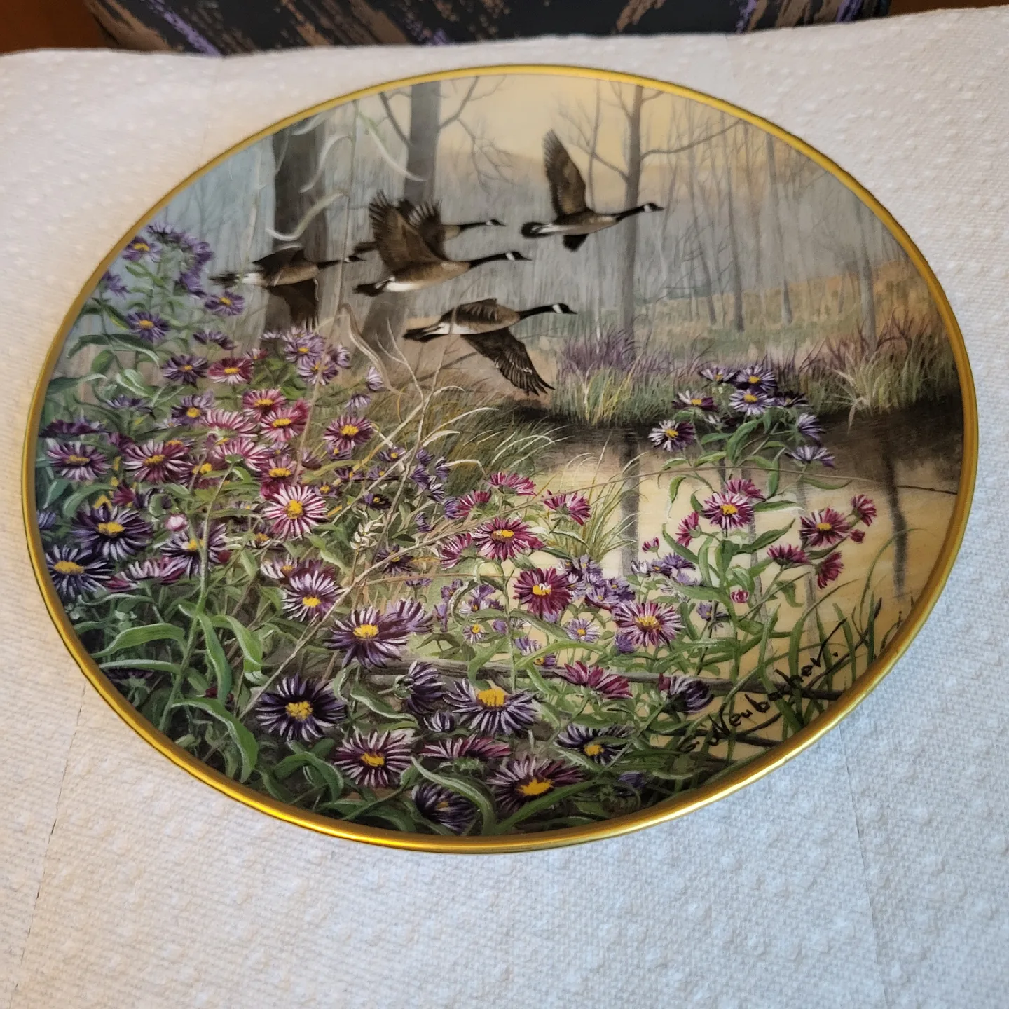 Kaiser W. Germany "Wild Asters" Plate thumbnail