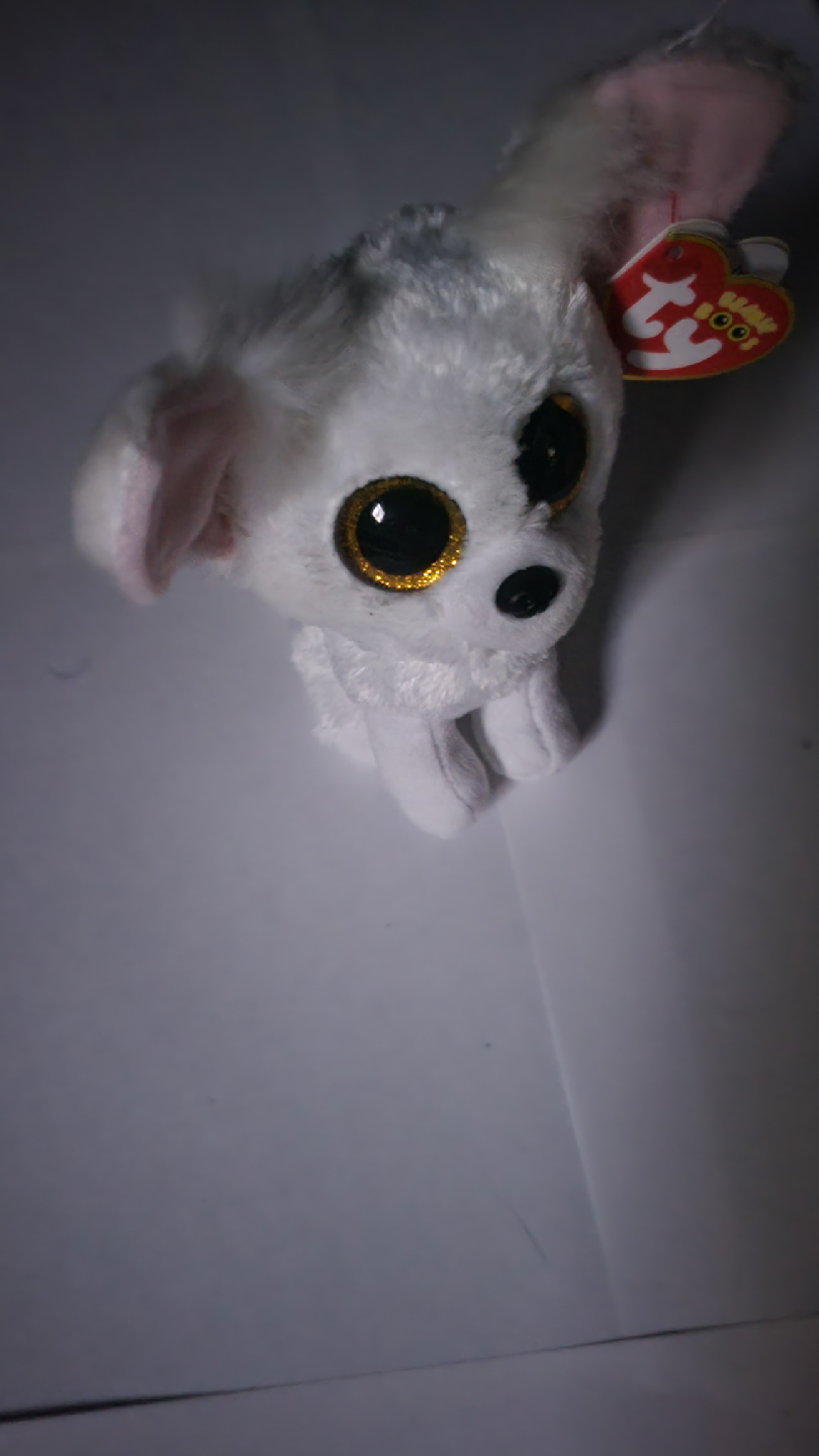 Ty Beanie Boos Chihuahua Dog Plush