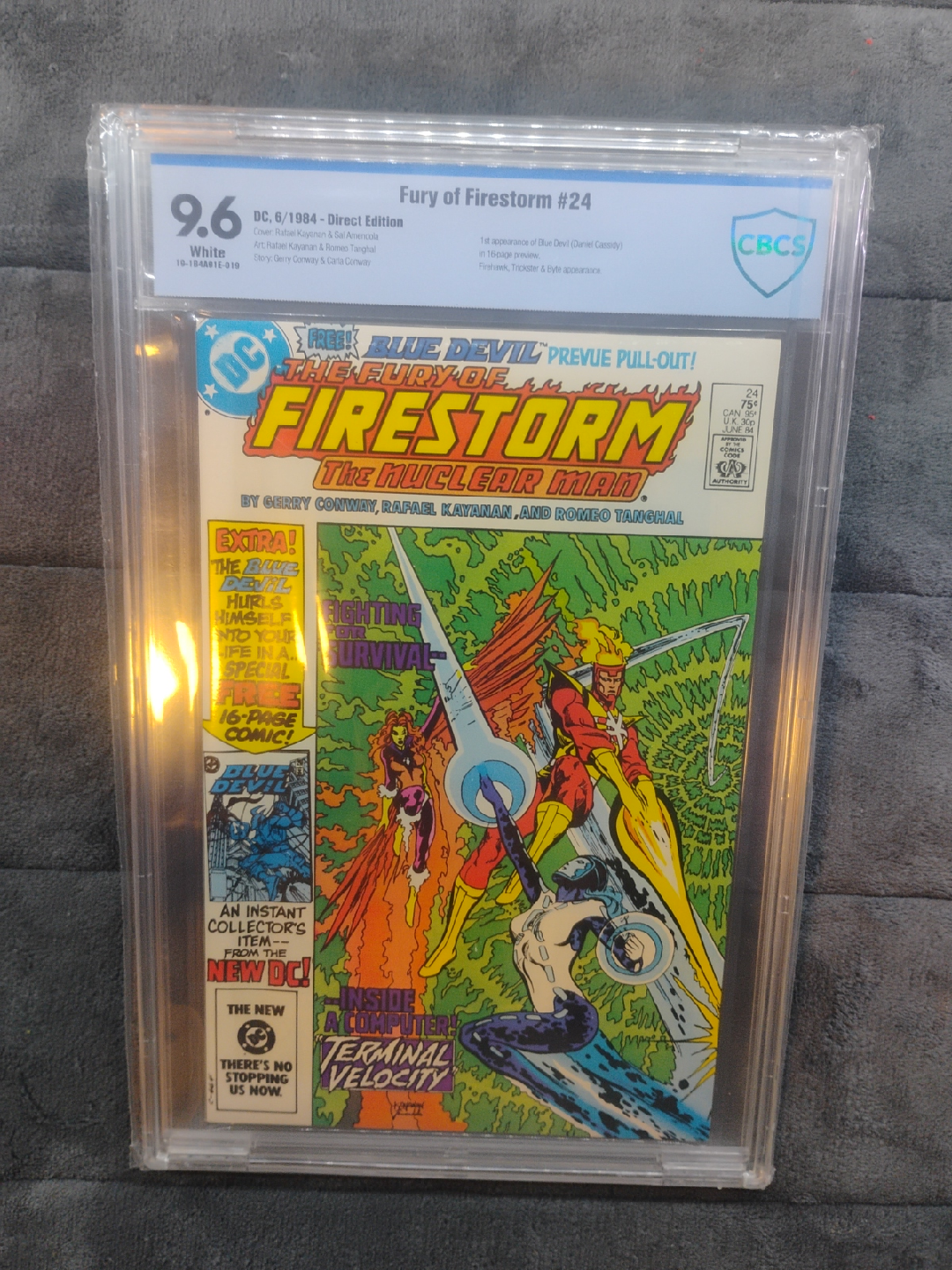 Fury of Firestorm #24 - DC Comic - June 1984