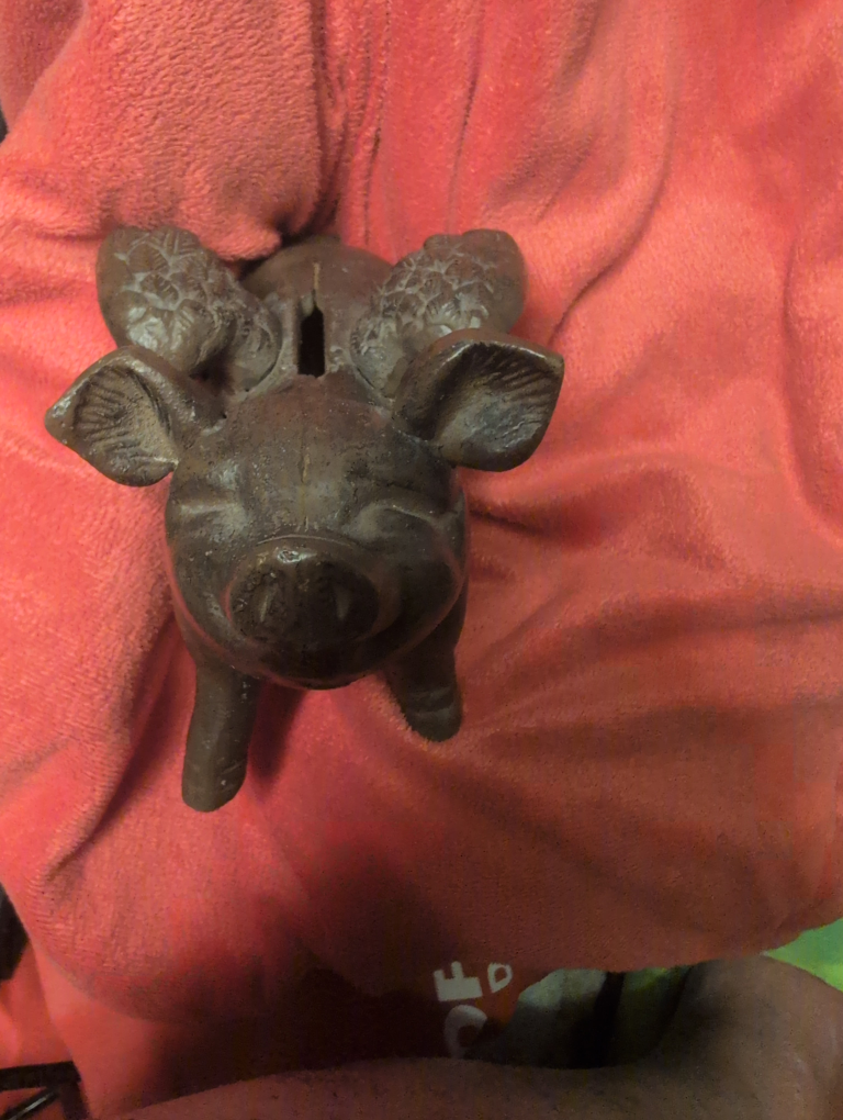 Flying Piggy Bank - photo 3