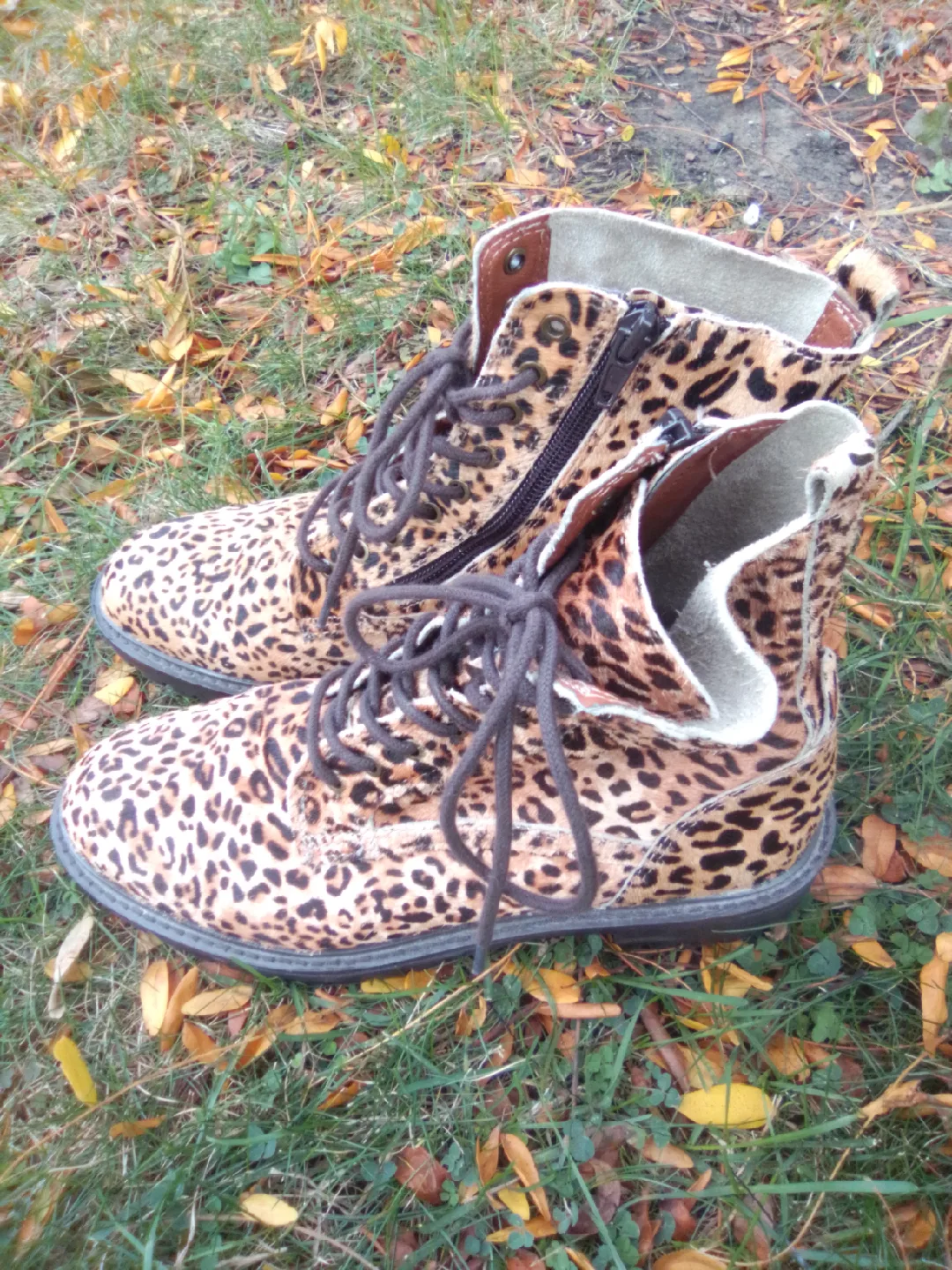 Really cute Animal print pony hair Lucky Brand  Ankle booties  7 image indicator(2)