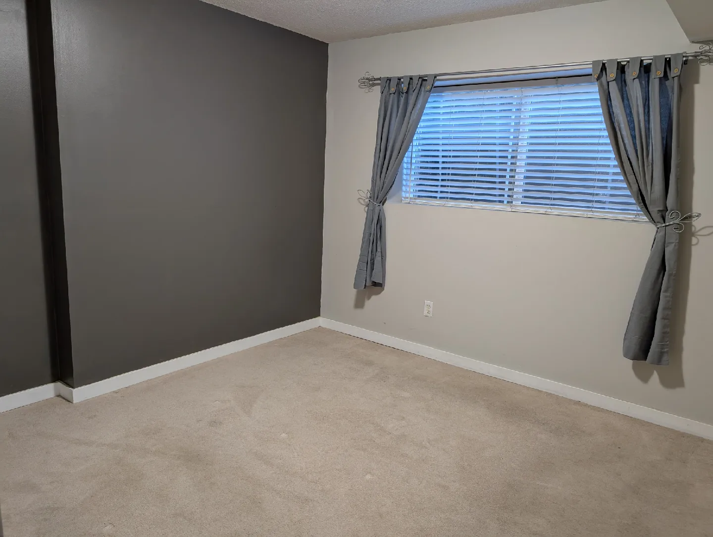 One bedroom basement for rent image indicator(3)