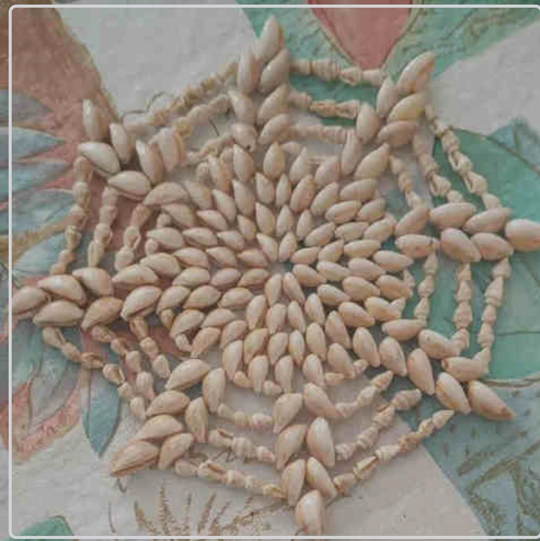 Seashell Art Decor