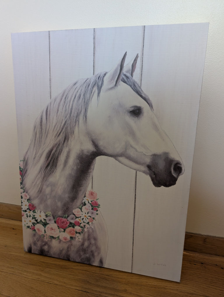 Horse Canvas Wall Art