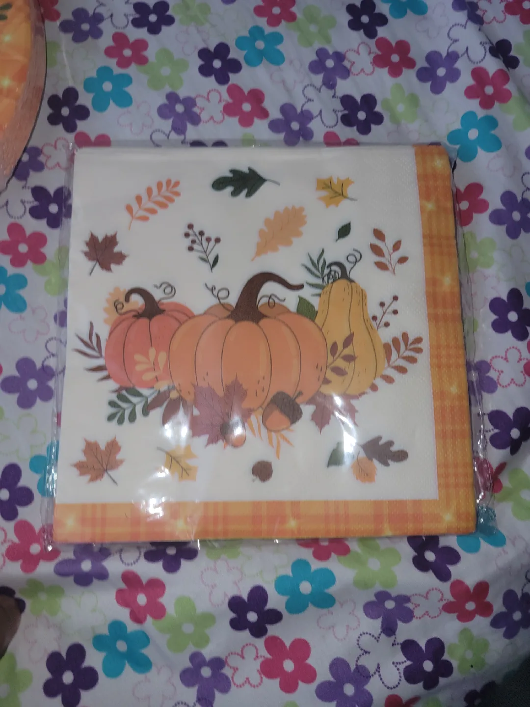Fall Harvest Pumpkin Party Supplies Set image indicator(2)