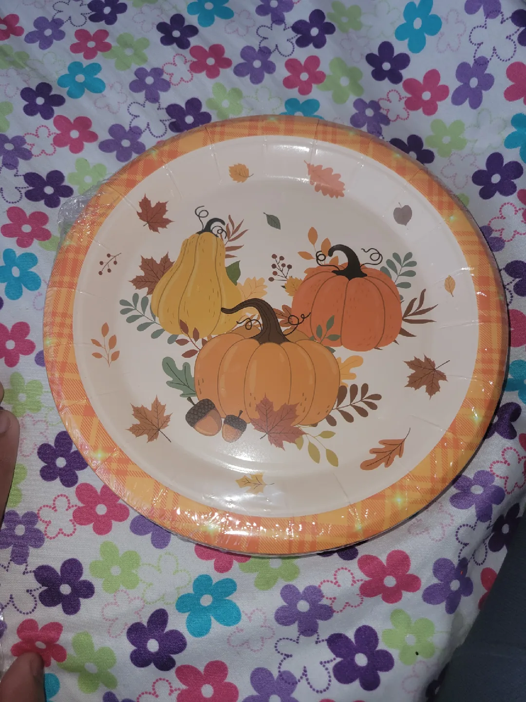 Fall Harvest Pumpkin Party Supplies Set image indicator(3)