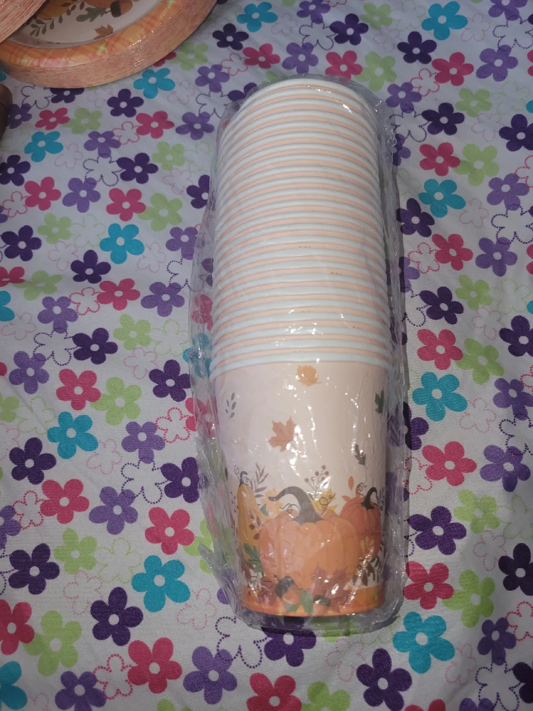 Fall Harvest Pumpkin Party Supplies Set image indicator(5)