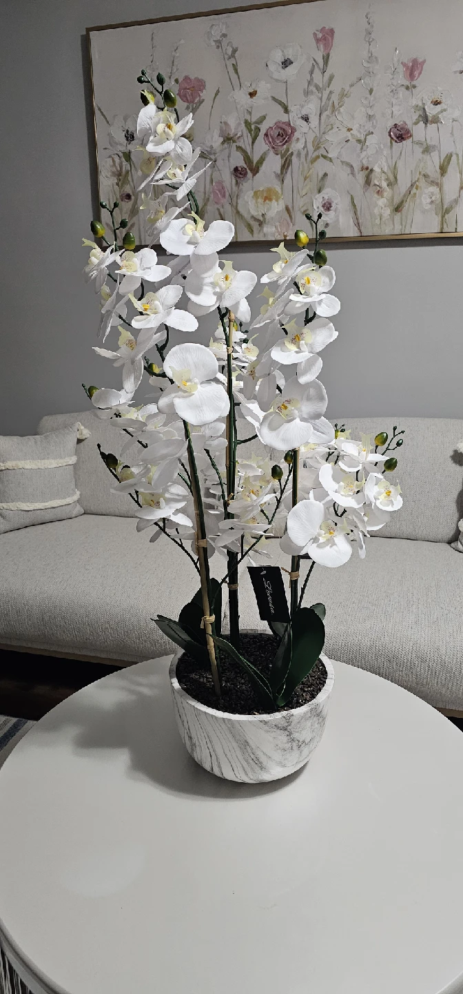 Homesense White Orchid in Marble Bowl