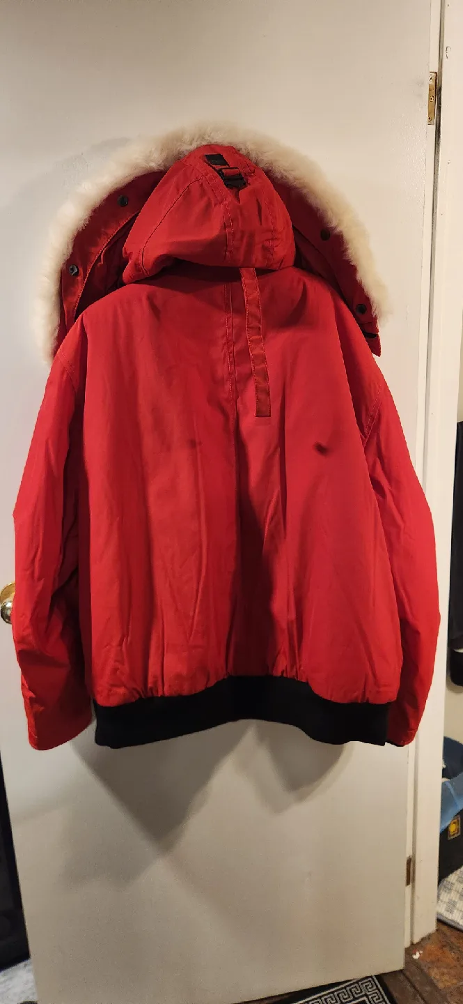 Coach Red Winter Bomber Jacket image indicator(4)