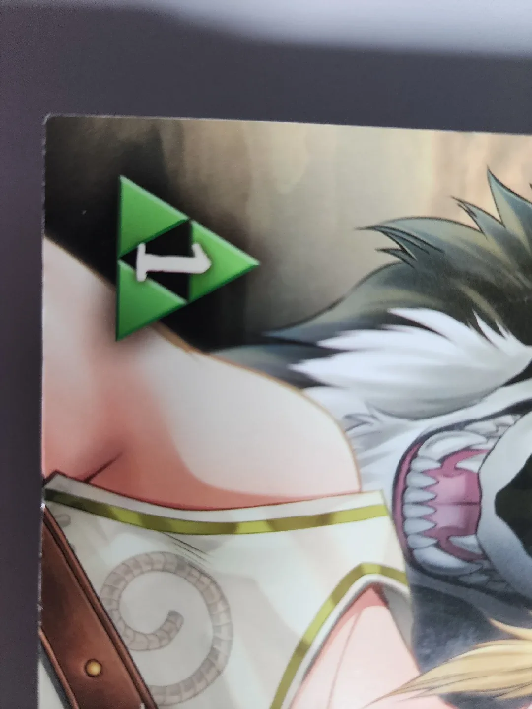 The Legend of Zelda: Twilight Princess, Vol. 1 image indicator(5)