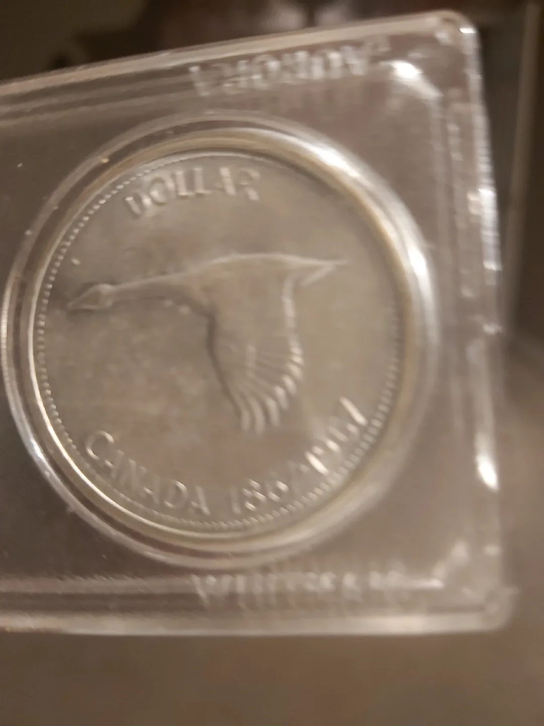 Canadian Coin Silver Collection - 1867-1967 image indicator(5)