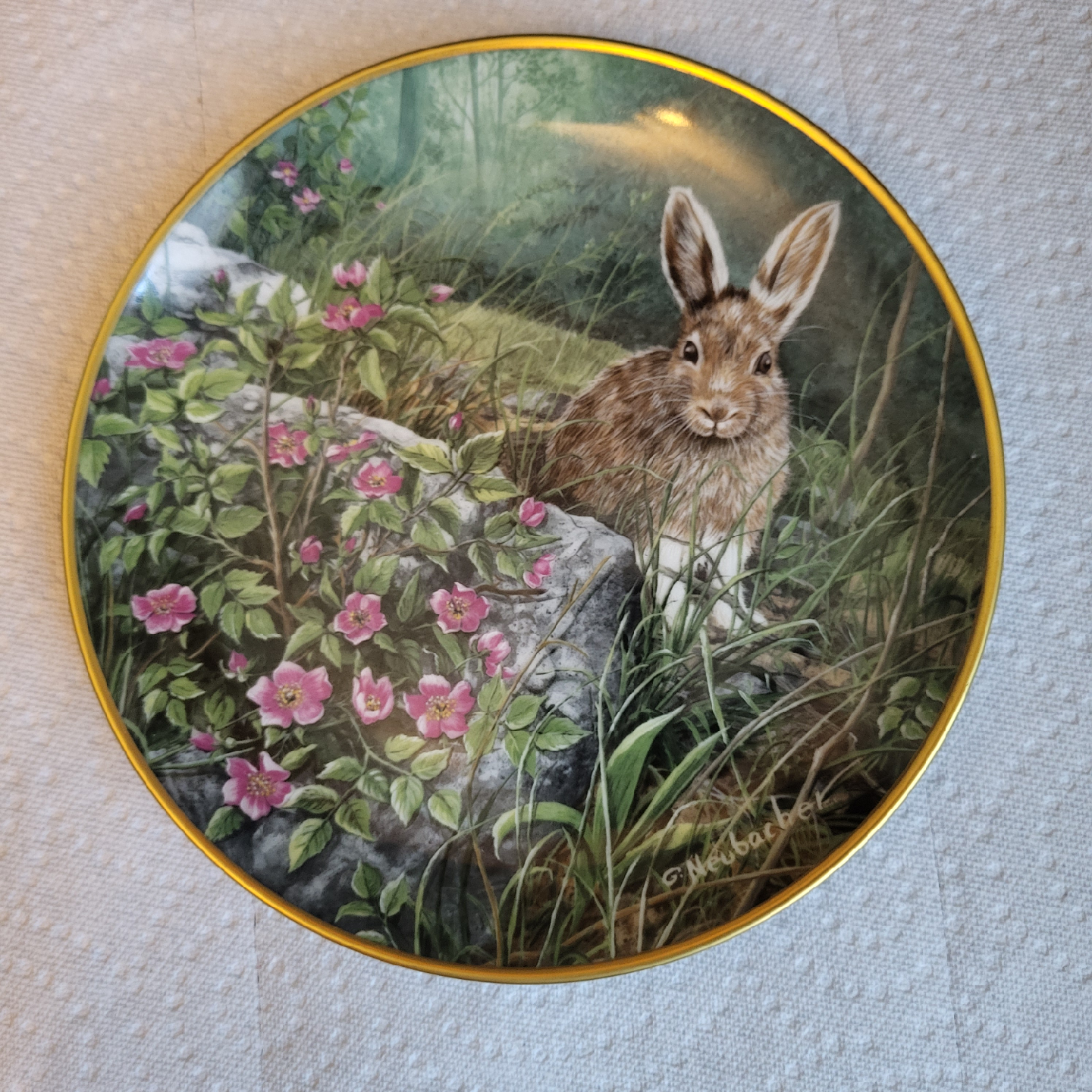 Kaiser W. Germany Wild Roses Plate