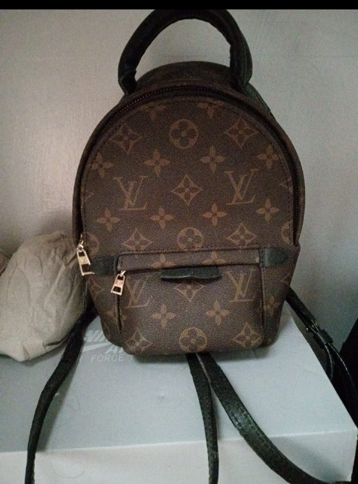 Louis Vuitton Palm Springs Mini Backpack