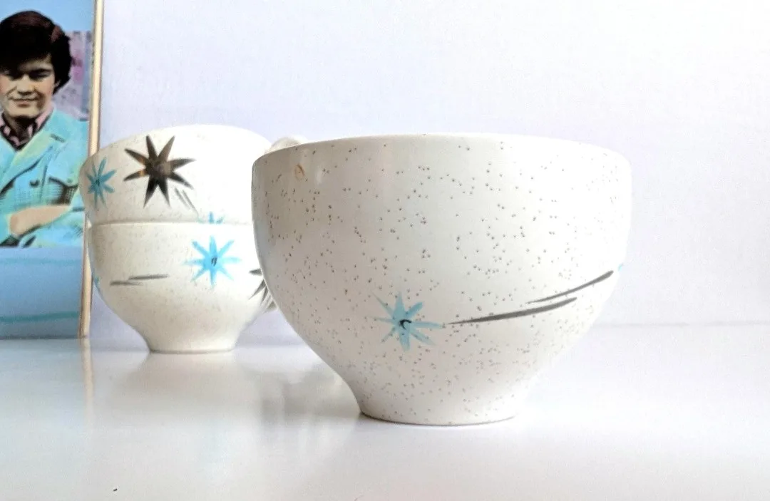 Myott ~ Safari - Silent Night Teacups image indicator(5)