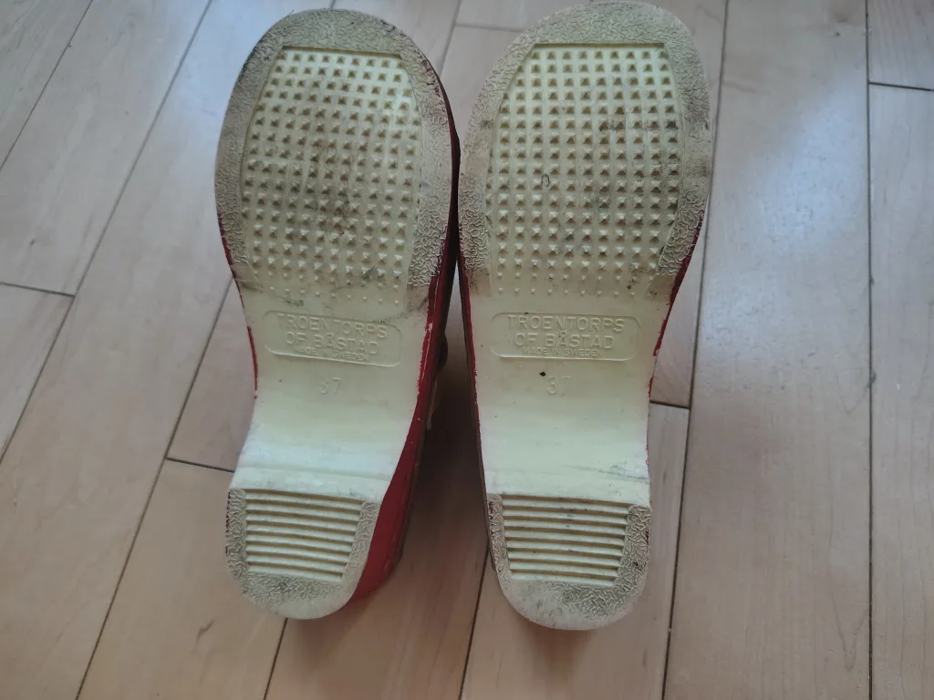 Swedish - Hand Painted Clogs Size 37 image indicator(7)