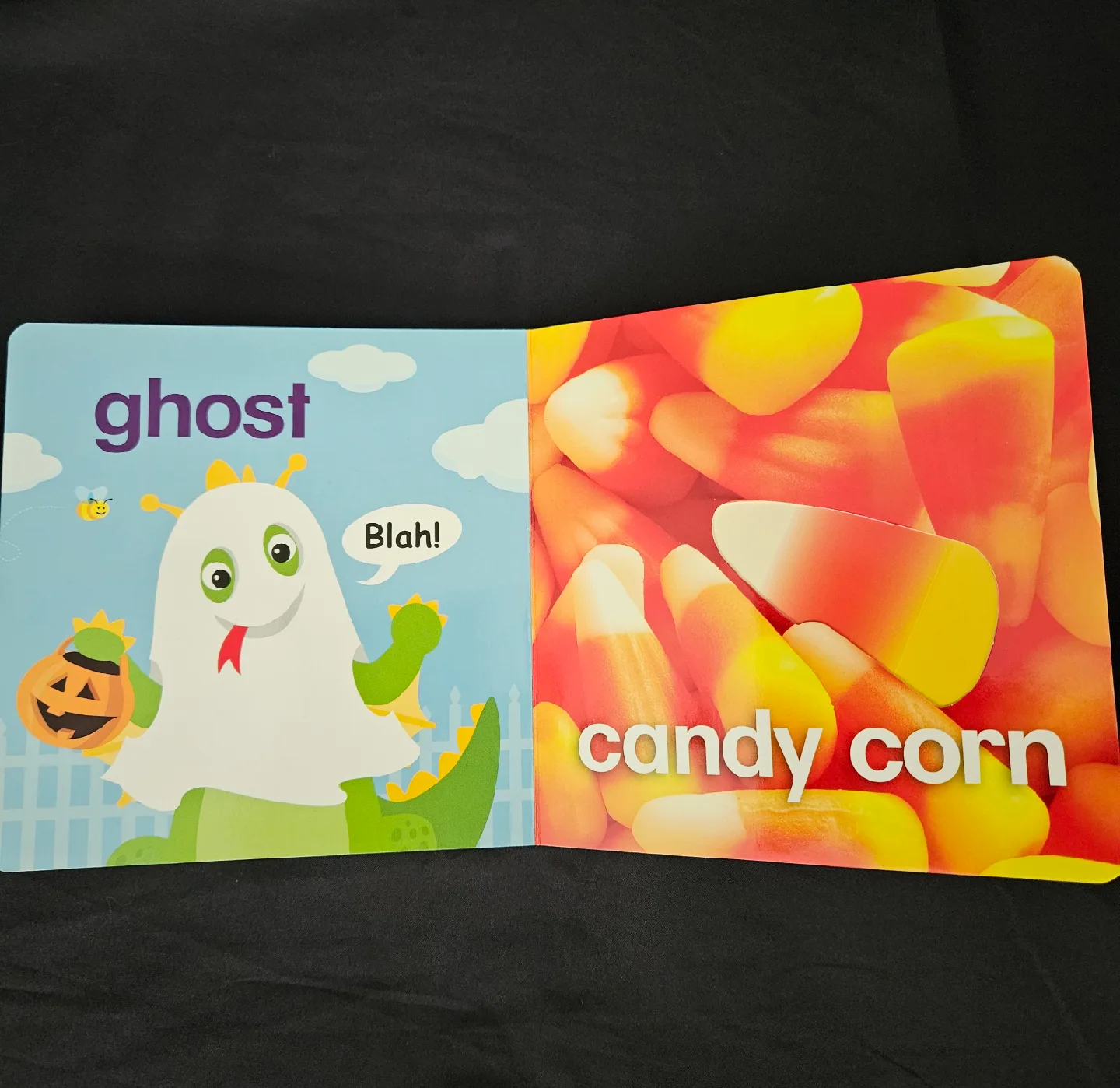 Baby Einstein Halloween Touch & Feel Book image indicator(2)