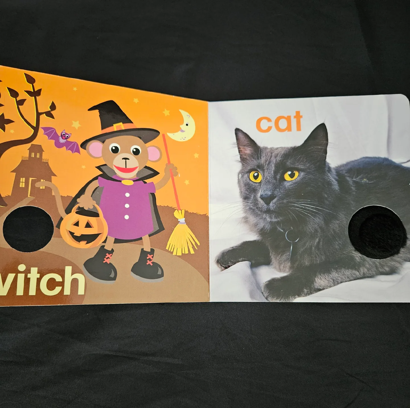 Baby Einstein Halloween Touch & Feel Book image indicator(3)
