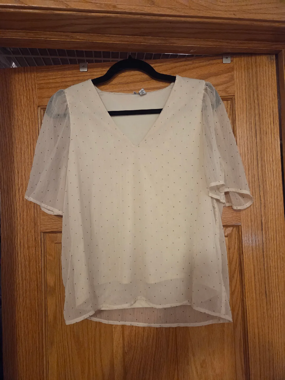 Sheer Polka Dot Blouse thumbnail