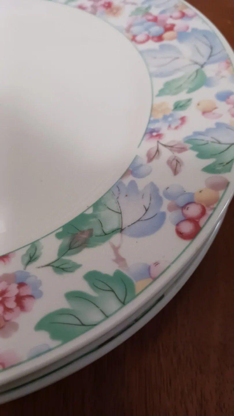 Floral Patterned Dinner Plates (Set of 4) image indicator(3)