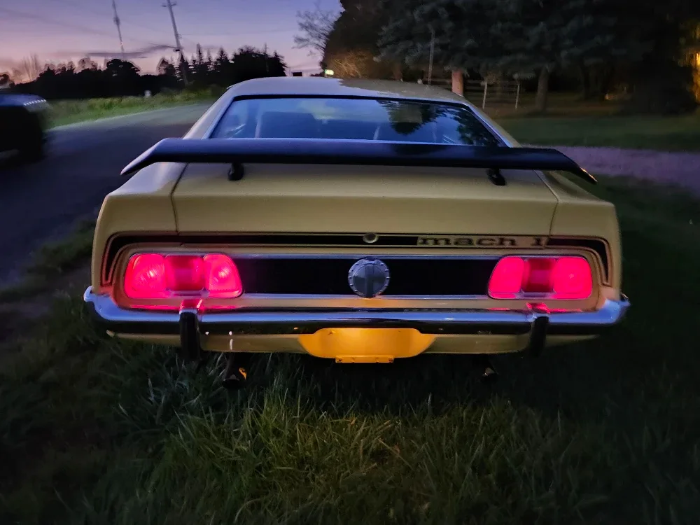 Mustang 1973 Mach 1 image indicator(6)