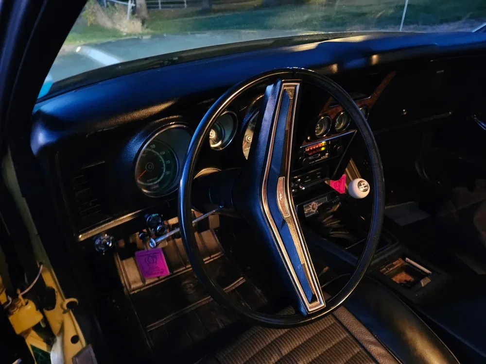 Mustang 1973 Mach 1 image indicator(9)