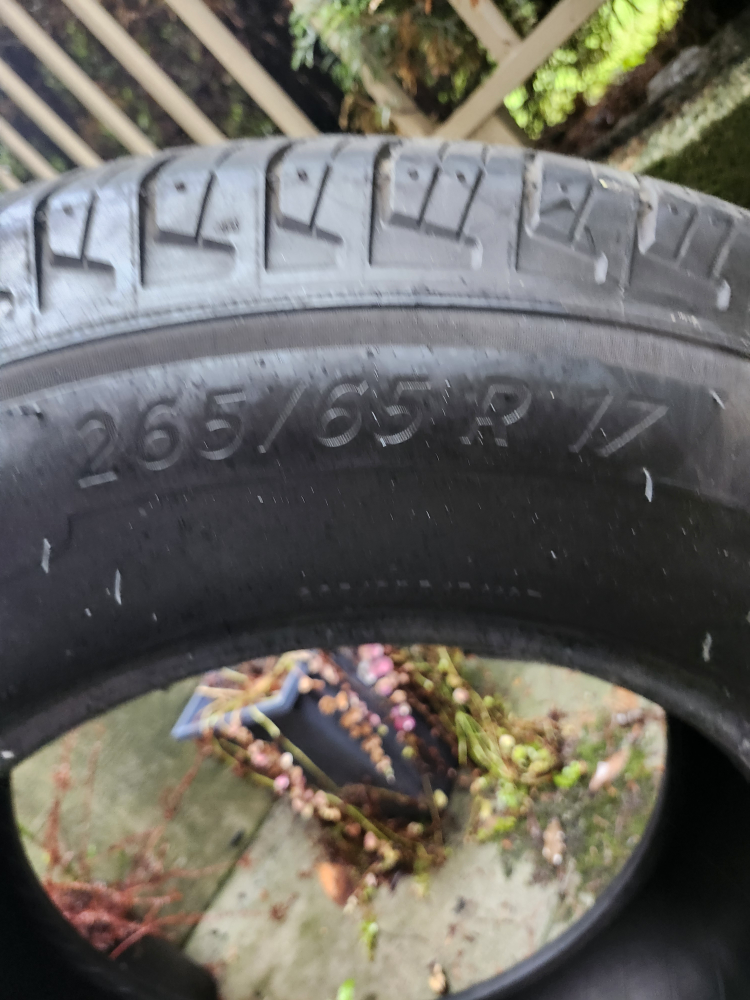 Michelin Primacy LTX 265/65R17 Tire - photo 2
