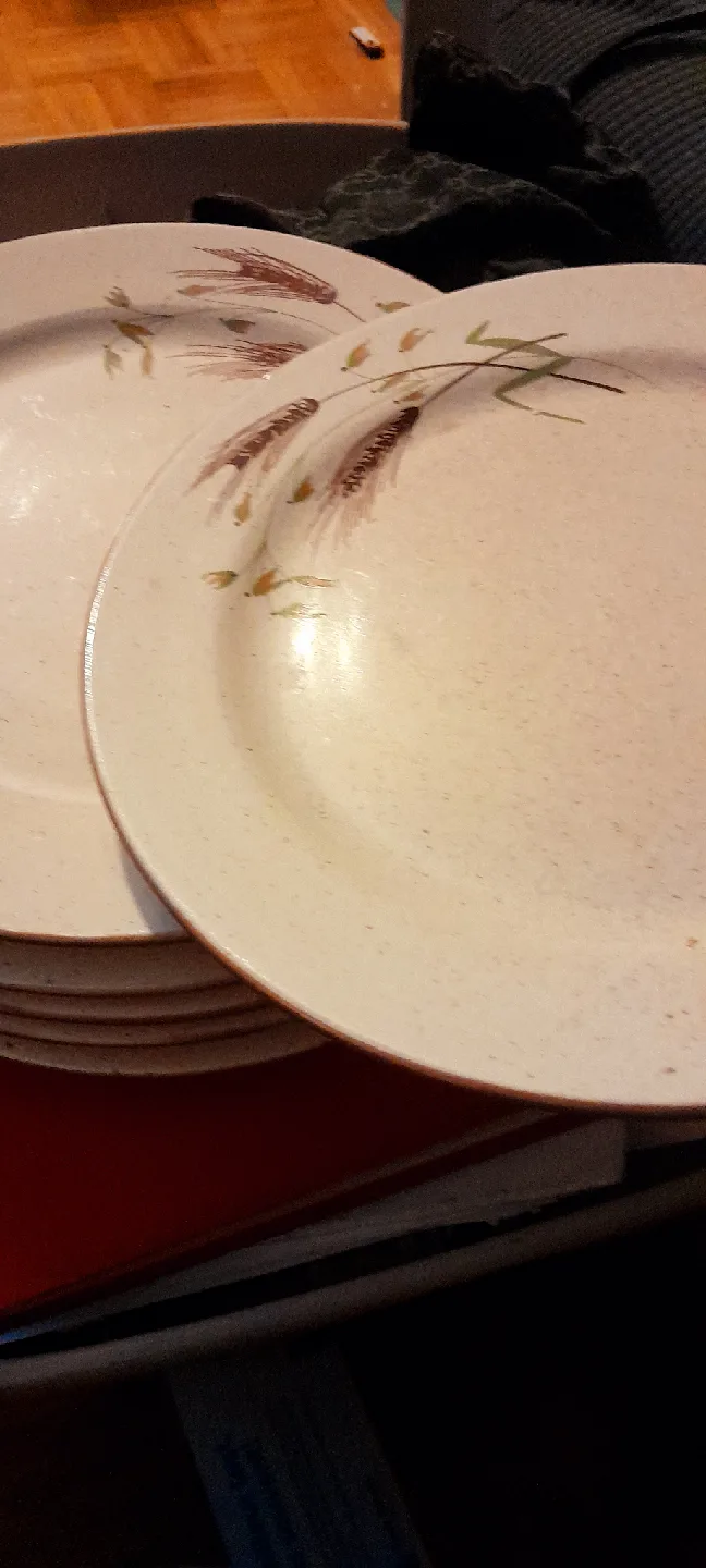 Vintage Harmony House Dinner Plates Set image indicator(2)